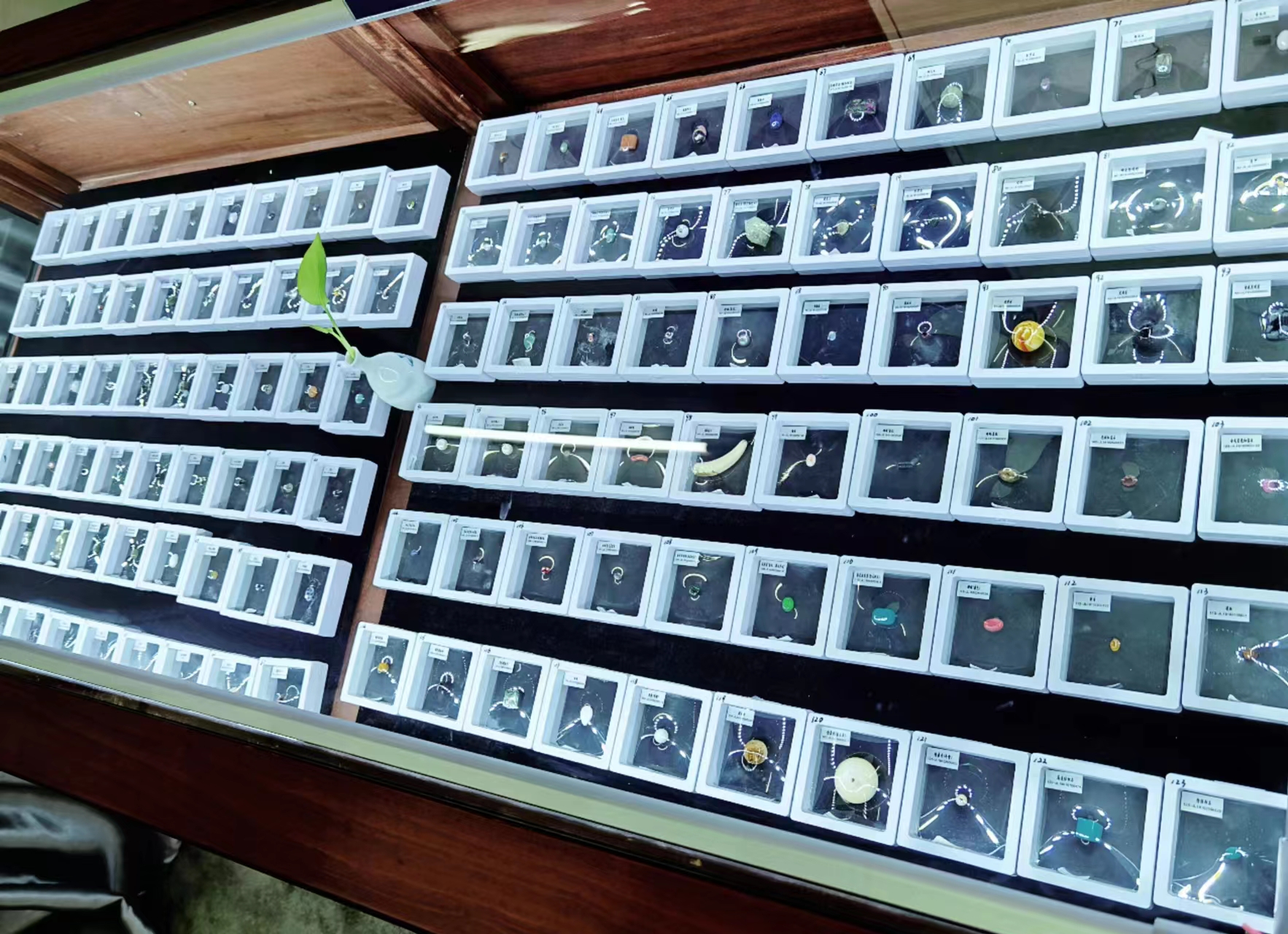 1678759245576238.jpg 1678759245576238.jpg